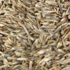 Pandy's Garden Center 1/3 Mix Grass Seed