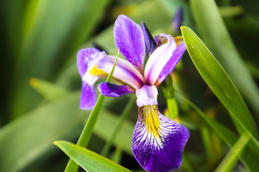 Outlet Pandy's Garden Center Store -Outlet Pandy's Garden Center Store 1