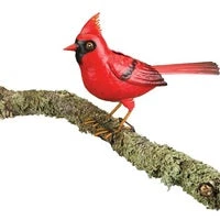 Regal Art And Gift Songbird Decor Cardinal