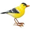 Regal Art And Gift Songbird Decor Gold Finch Birding