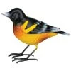 Regal Art And Gift Birding Bird Decor - Oriole