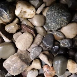 Pandy's Garden Center Medium Riverstone (Bagged) Bagged Stone