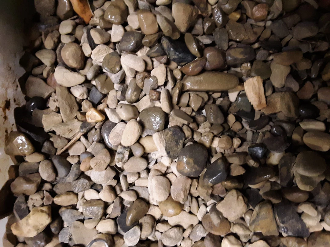 Pandy's Garden Center Small Riverstone (Bagged) Bagged Stone 3 Pandy's Garden Center Small Riverstone (Bagged) Bagged Stone