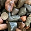 Pandy's Garden Center Bagged Stone Large Canadian Riverstone (Bagged)