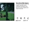 KG Farms False Cypress - Green Arrow Nursery 1 KG Farms False Cypress - Green Arrow Nursery