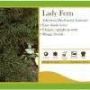 Pandy's Garden Center Athyrium Filix-femina 'Linearis' Fern Lady Perennials