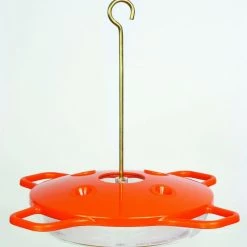 Pandy's Garden Center The Oriole Feeder 16oz