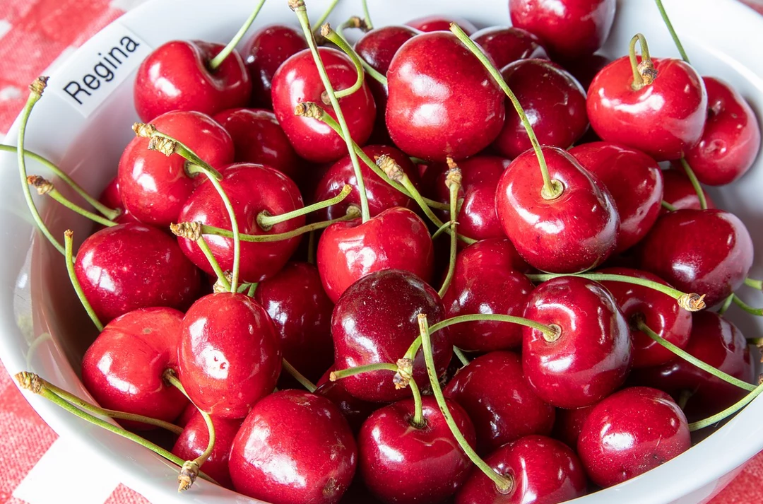 Prides Corner Cherry - Regina Sweet 3 Prides Corner Cherry - Regina Sweet