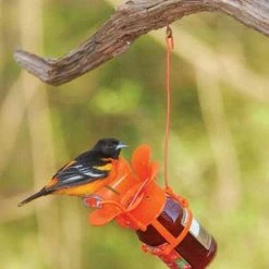 Songbird Essentials Birding Jelly / Jam Fliteline Oriole Feeder