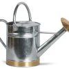 Terra Verde Traditional Galvanized Watering Can (1 Gal.)