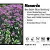 Pandy's Garden Center Monarda ‘Blue Stocking’ Bee Balm 2 Pandy's Garden Center Monarda ‘Blue Stocking’ Bee Balm