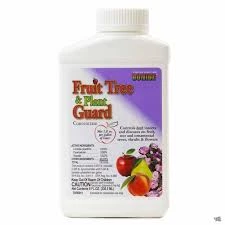 Pandy's Garden Center Fruit Tree & And Plant Guard Lawn & Garden