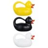 Pandy's Garden Center Duck Watering Can