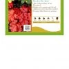 Pandy's Garden Center Perennials Heuchera Fire Alarm Coral Bells