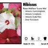 Pandy's Garden Center Hibiscus 'Luna Mix' Rose Mallow Perennials