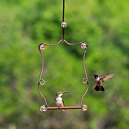 Woodstream Controls Perky Pet Beaded Hummingbird Swing 3 Woodstream Controls Perky Pet Beaded Hummingbird Swing