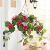 Gerson Azalea Flowers In Hanging Basket