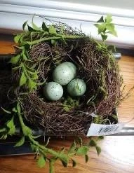 Gerson Natural Vine Bird's Nest With Robbin Eggs Birding