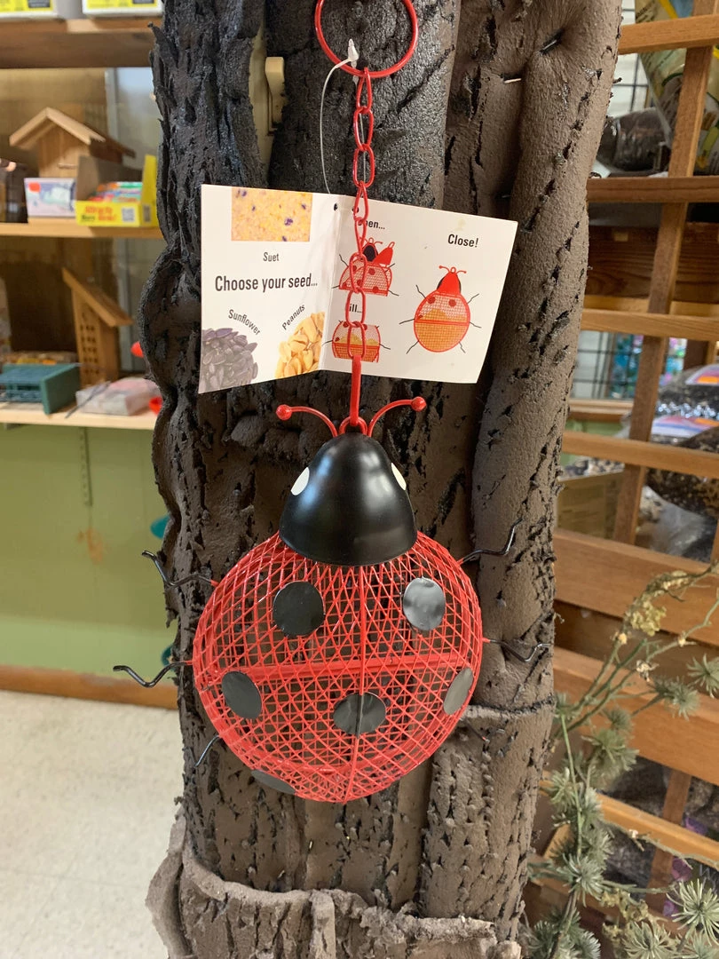 Pandy's Garden Center Birding No/No Wild Bird Ladybug Bird Feeder 3 Pandy's Garden Center Birding No/No Wild Bird Ladybug Bird Feeder