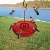 Pandy's Garden Center Birding HUMMINGBIRD HAVEN HUMMINGBIRD FEEDER