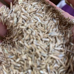 Pandy's Garden Center Fairway Mix By The Pound