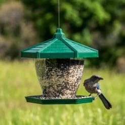 Pandy's Garden Center The Grand Chalet Wild Bird Feeder Birding