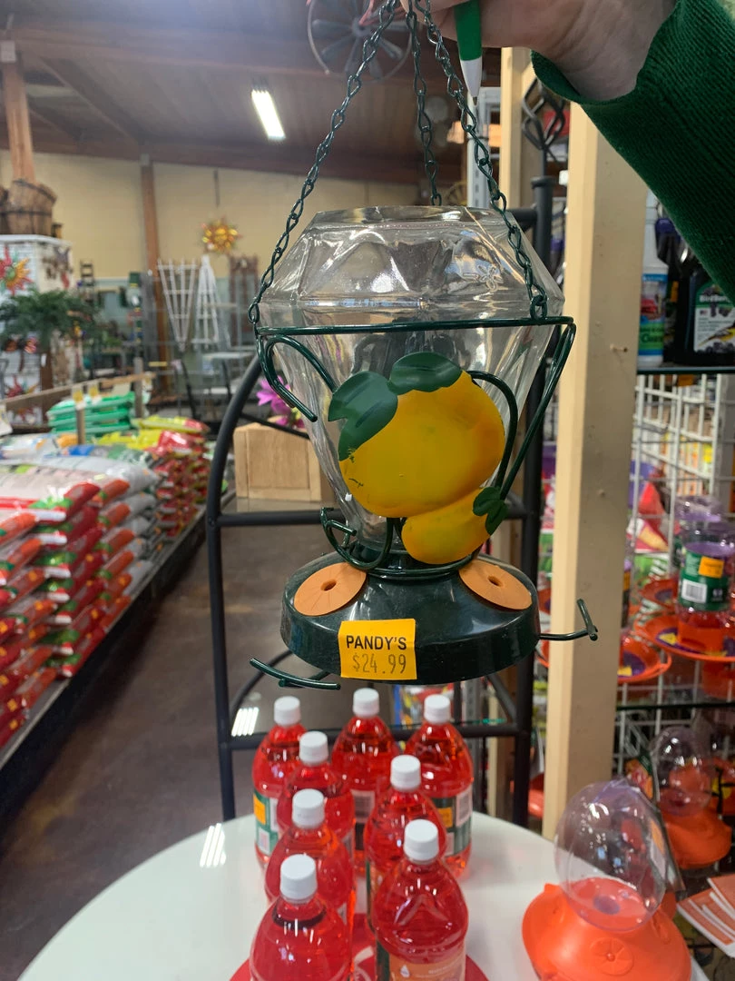 Woodstream Controls Glass Perky Pet Oriole Feeder Birding 3 Woodstream Controls Glass Perky Pet Oriole Feeder Birding