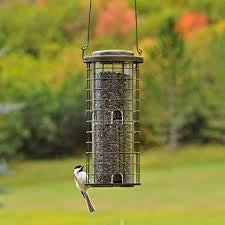 Pandy's Garden Center Birding Squirrel Stumper Wild Bird Feeder 3 Pandy's Garden Center Birding Squirrel Stumper Wild Bird Feeder