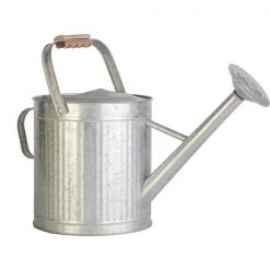 Panacea 2-Gallon Vintage Watering Can With Wood Handle