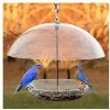 Audubon Birding Blue Bird And Song Bird Feeder
