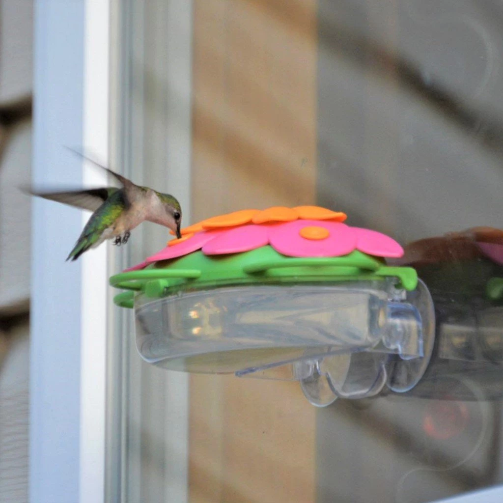 Natures Way Birding Window Hummingbird Feeder 3 Natures Way Birding Window Hummingbird Feeder