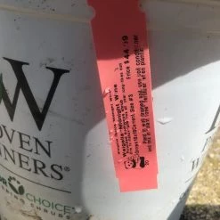 Pandy's Garden Center Midnight Wine Weigelia