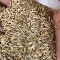 Pandy's Garden Center 1/3 Mix Grass Seed By The Pound Lawn & Garden