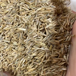 Pandy's Garden Center Shady Mix By The Pound