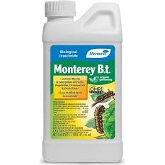 Monterey L&G Controls Insect And Pest Control Monterey B.T.