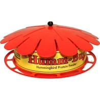 Pandy's Garden Center Birding Hummingbird Feeder