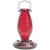 Pandy's Garden Center Hummingbird Feeder Birding 2 Pandy's Garden Center Hummingbird Feeder Birding