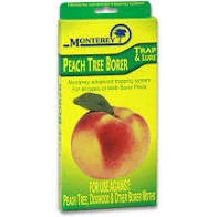 Pandy's Garden Center Monterey Peach Tree Borer Trap & Lure