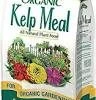 Pandy's Garden Center Lawn & Garden Espoma Organic Kelp Meal