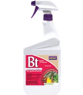 Pandy's Garden Center Bacillus Thuringiensis Lawn & Garden