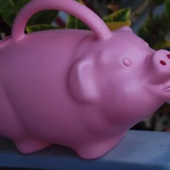 Novelty Pig Watering Can