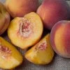 Willoway Peach - Red Haven Peach Semi Dwarf