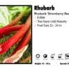 Pandy's Garden Center Perennials Rhubarb ‘Strawberry Red’ Rhubarb