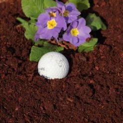 Pandy's Garden Center Lawn & Garden Pine Bark Soil Conditioner 2 Cu.Ft. Bag