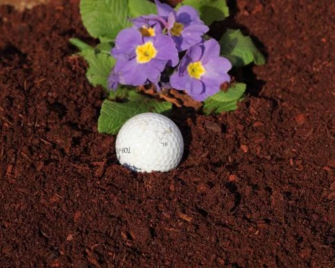 Pandy's Garden Center Lawn & Garden Pine Bark Soil Conditioner 2 Cu.Ft. Bag 3 Pandy's Garden Center Lawn & Garden Pine Bark Soil Conditioner 2 Cu.Ft. Bag