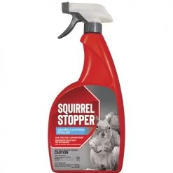 Pandy's Garden Center Squirrel Stopper