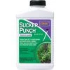 Bonide Weed Control And Fungicide Sucker Punch Ready-To-Use, 8 Oz