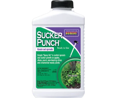Bonide Weed Control And Fungicide Sucker Punch Ready-To-Use, 8 Oz 3 Bonide Weed Control And Fungicide Sucker Punch Ready-To-Use, 8 Oz