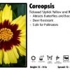 Pandy's Garden Center Coreopsis 'Uptick Yellow And Red' Tickseed